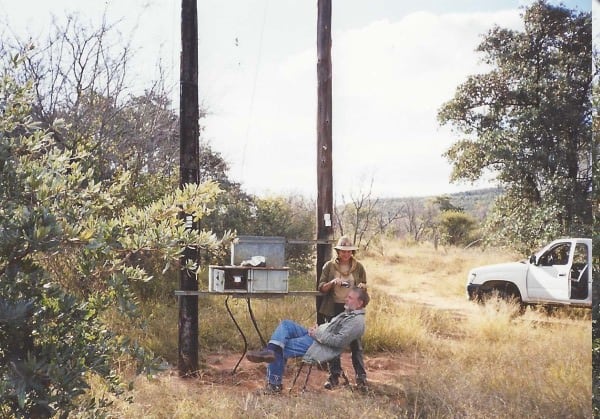 bushveld game walk