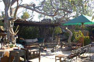 bush camp, bushveld game walk