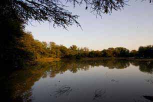 bushveld game walk, dam