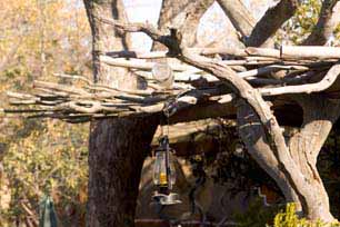 bushveld game walk