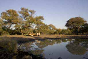 bushveld game walk, bushveld dam