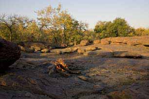 bushveld game walk, safari4