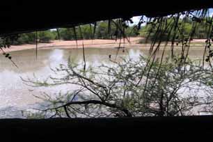 bushveld game walk, bushveld dam