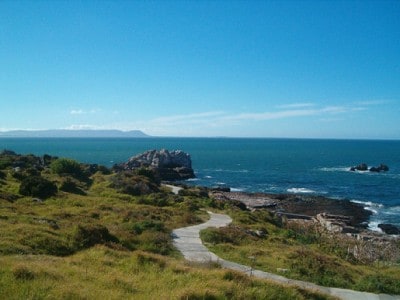 Hermanus Walk, Cliff path