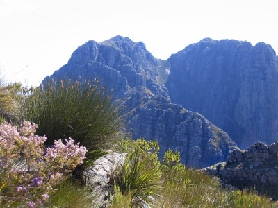 Jonkershoek Nature Reserve