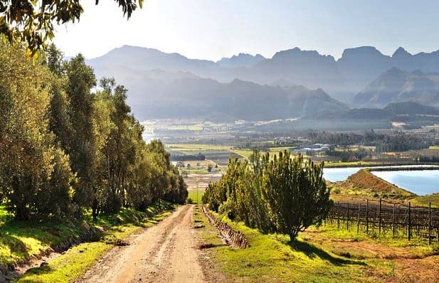 Boschendal-area