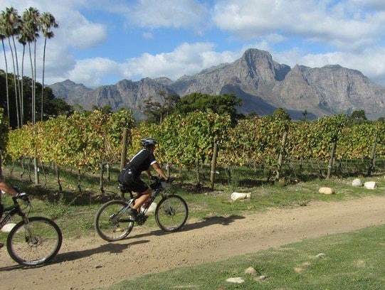 Cape-Winelands-Cycling-Franschhoek