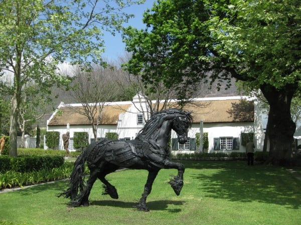 Grande Provence Estate, Cape Winelands Cycling