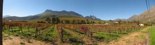 jonkershoek-autumn