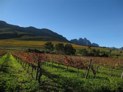 lourensford-autumn
