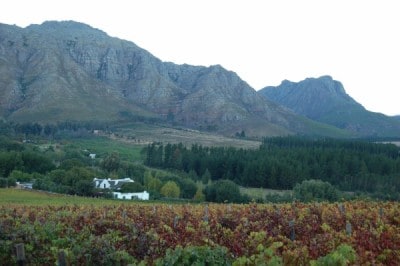 Winelands walking