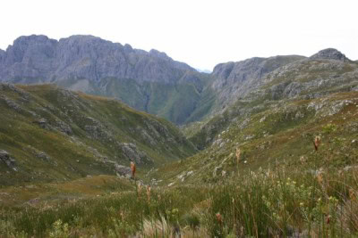 pieke-from-dwarsberg