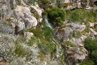 swartboskloof