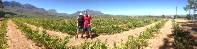 vriesenhof-panoramic-view