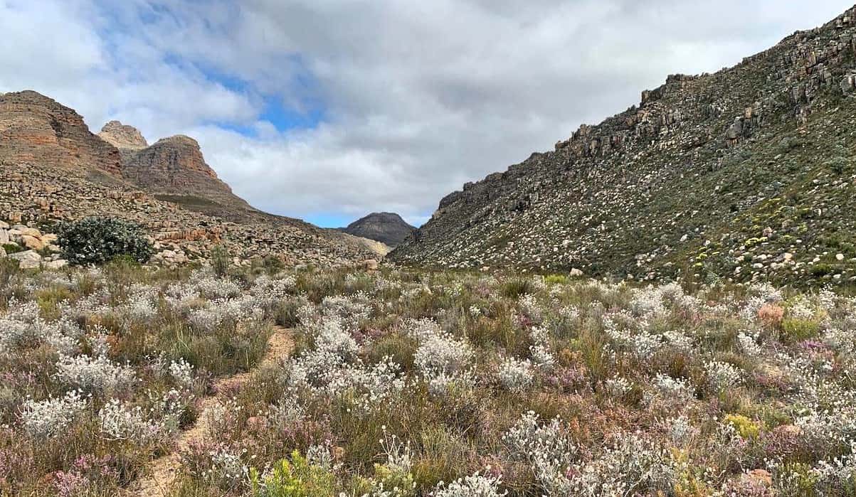 Cederberg-park-Kromrivier-cave-trail