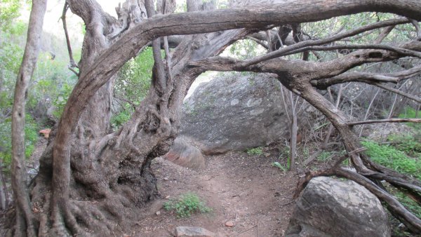 san paintings, sevilla rock art trail