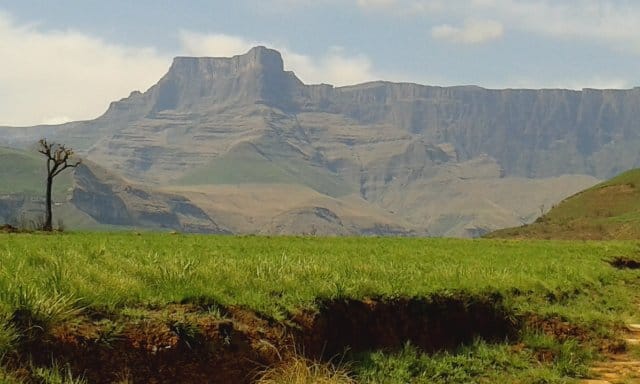 20141029_083633
