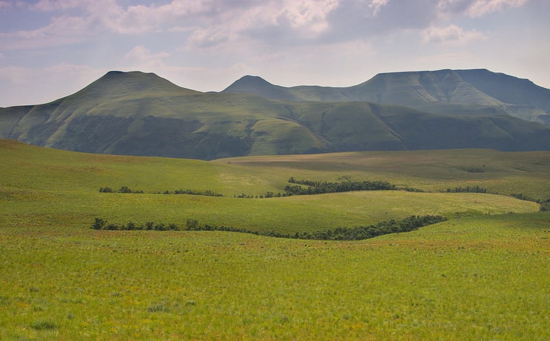 Champagne Valley