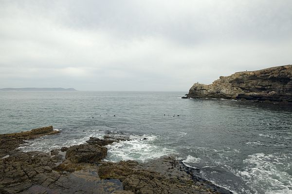 hermanus-rocky-coast