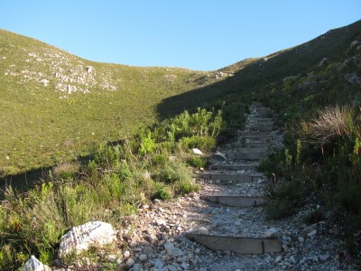 Walking along Elephant trail, Hermanus walk