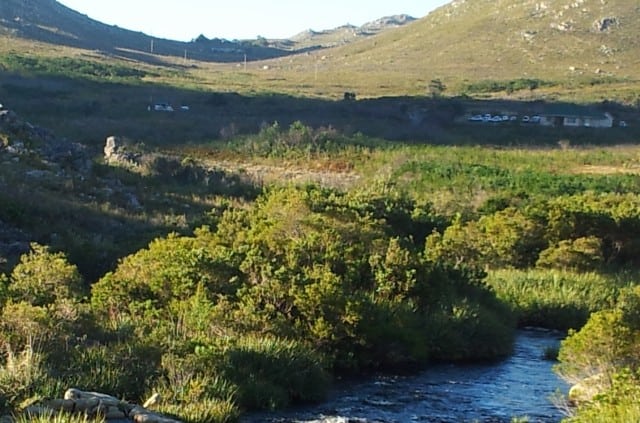Kogelberg nature reserve river walk