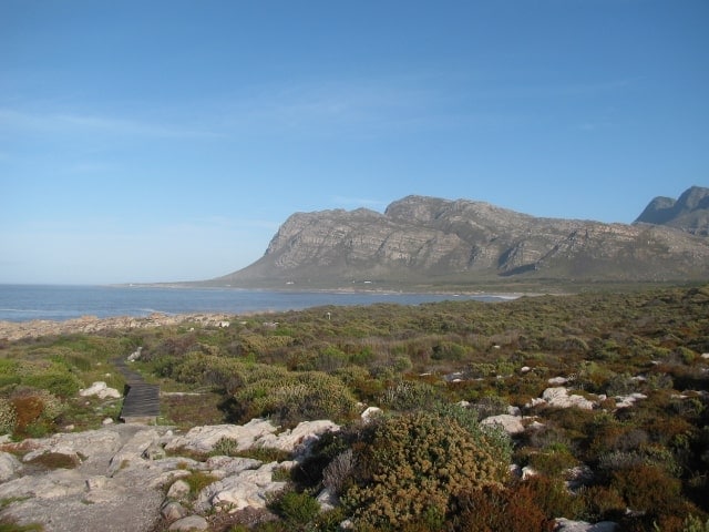 IMG_7658 (640x480)