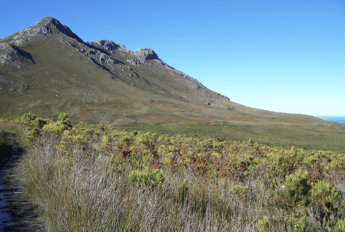 Three of the four mountain peaks on the Three Sisters Trail