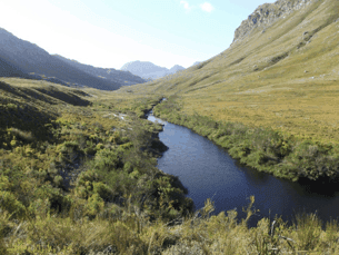 Palmiet River Trail