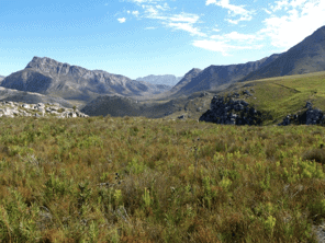 One of the many views from the Fairy Glen to Perdeberg Trail