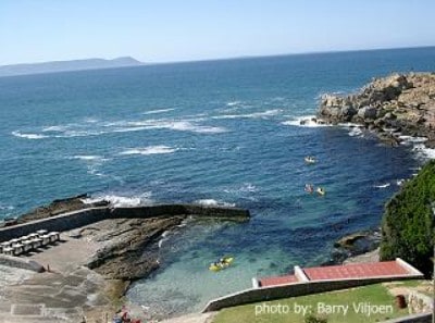 Staproetes.Ou hawe, Hermanus staproetes