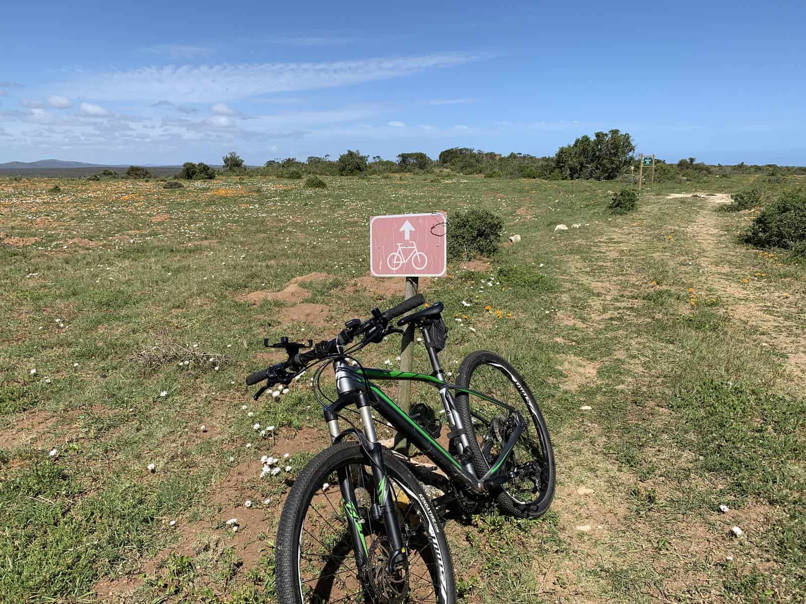 West Coast Cycling