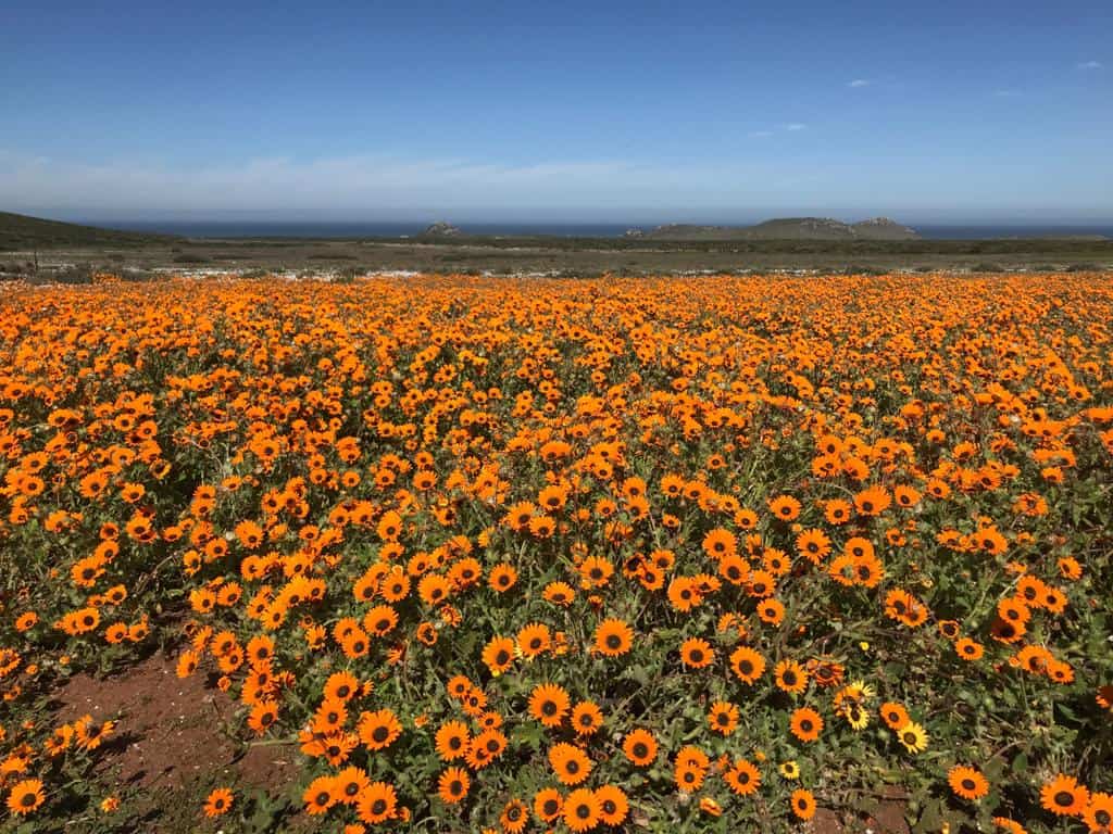 West Coast Cycling