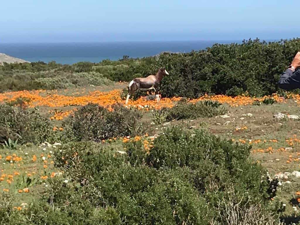 West Coast Cycling