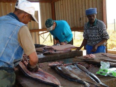 Enjoy good seafood,hiking West Coast Walk