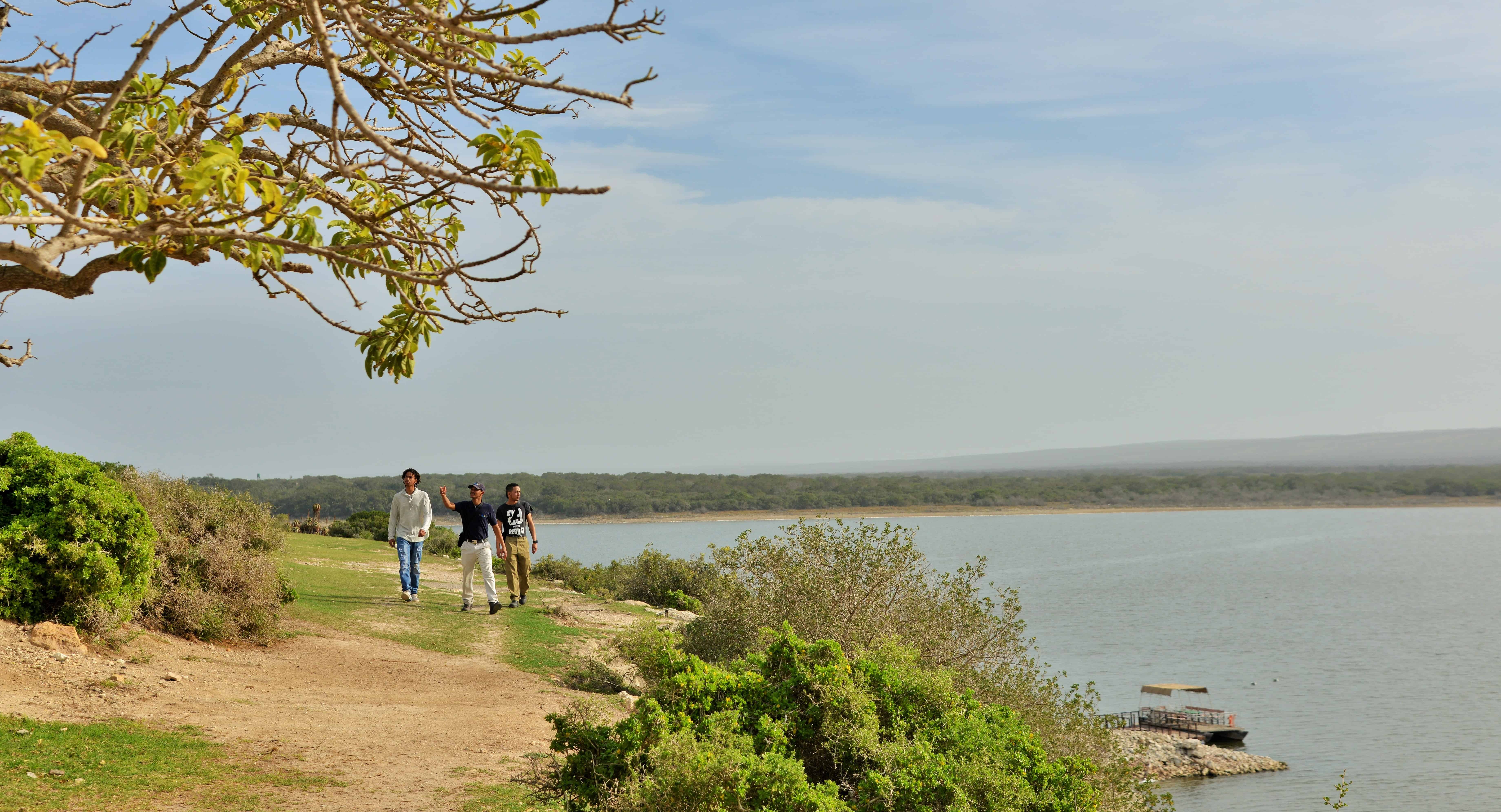 Bird-Walk