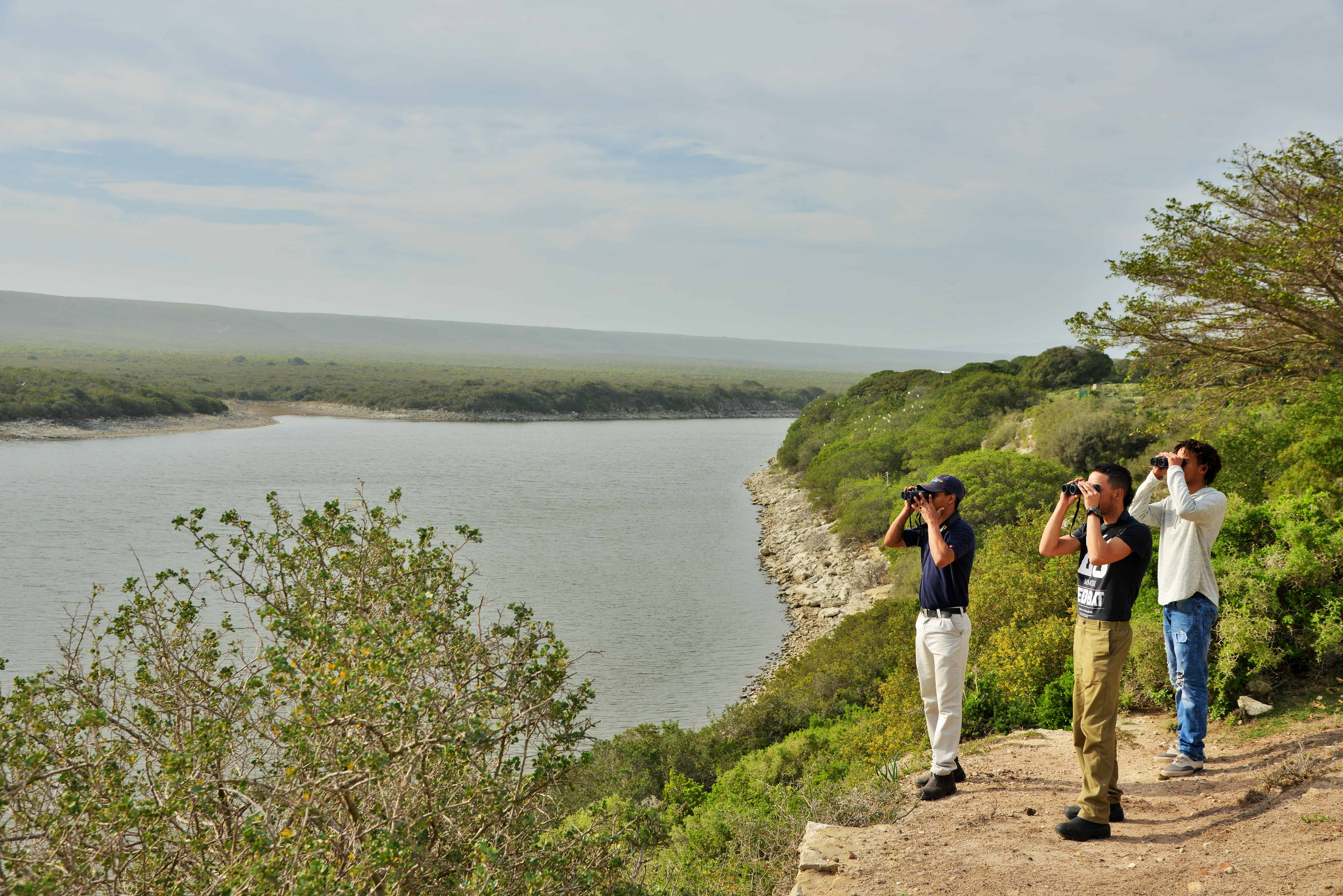 Bird-Walk