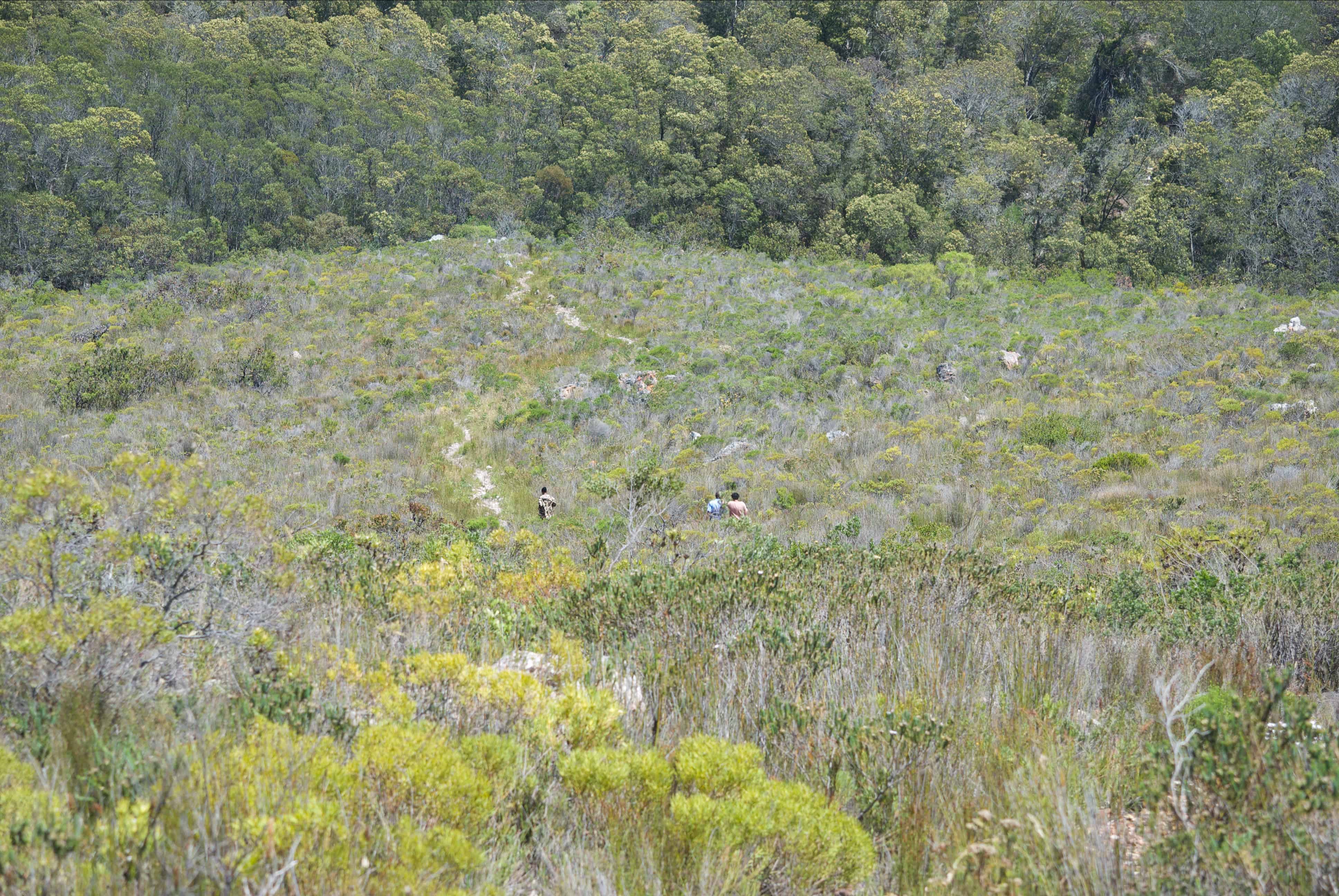 flora, fauna and landscapes