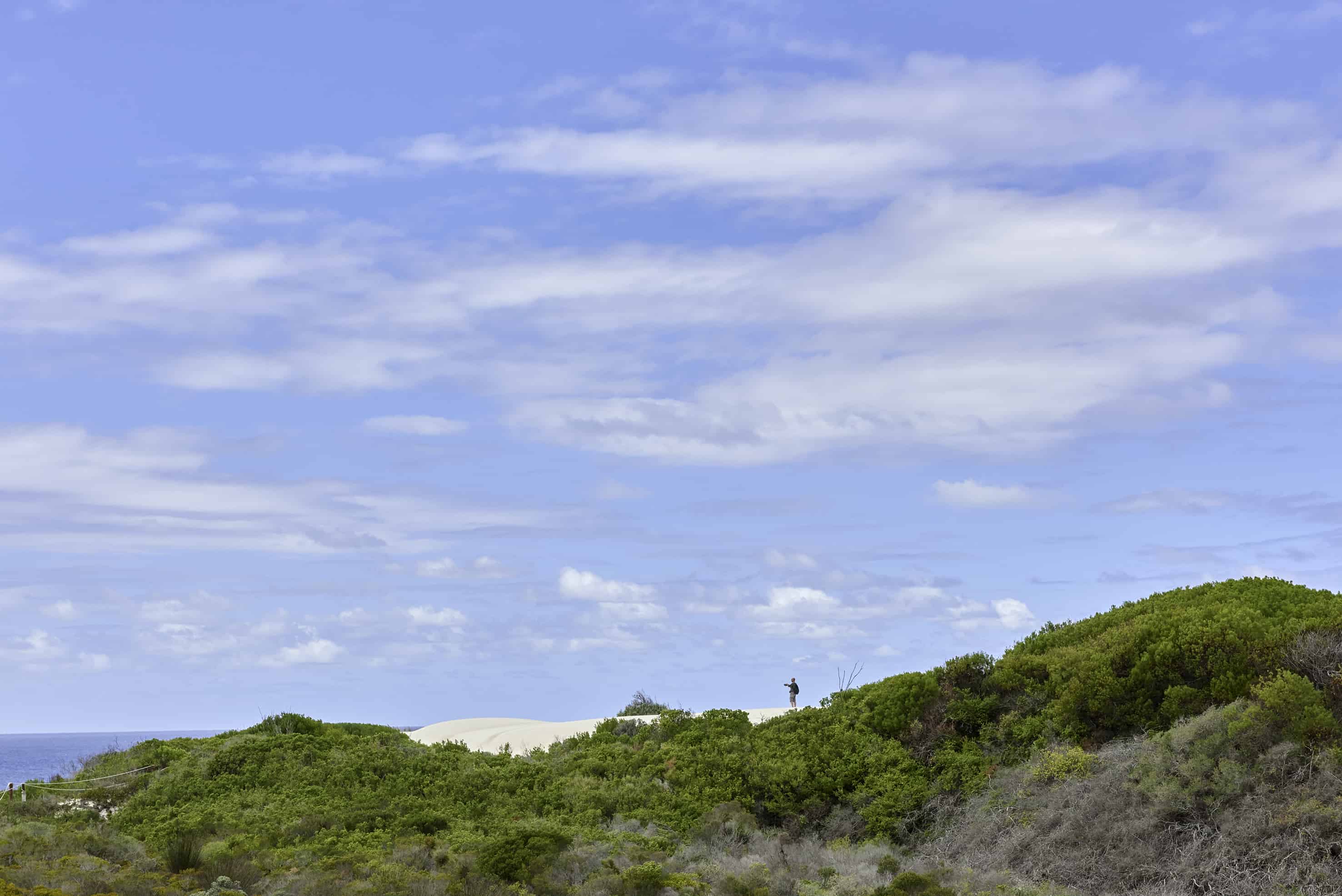 flora, fauna and landscapes