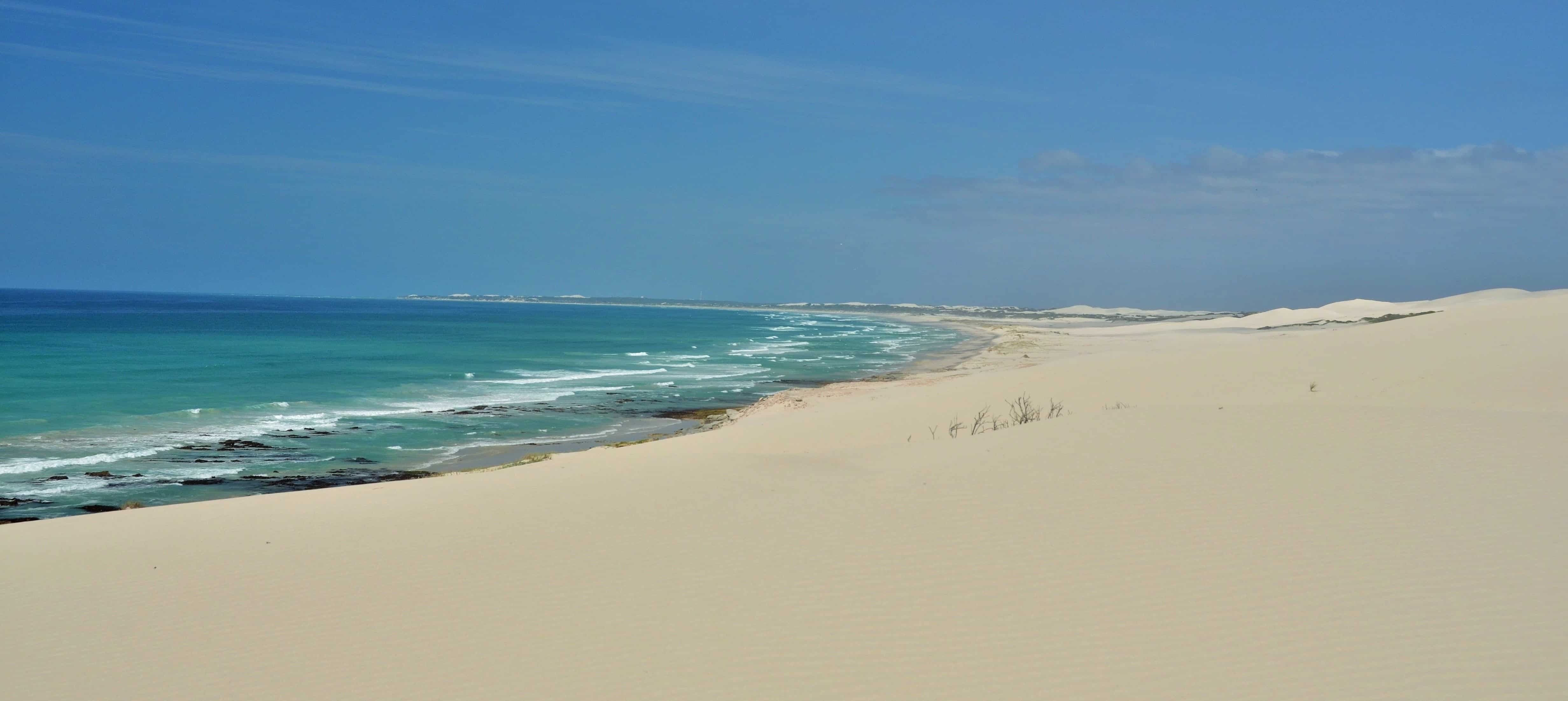 flora, fauna and landscapes