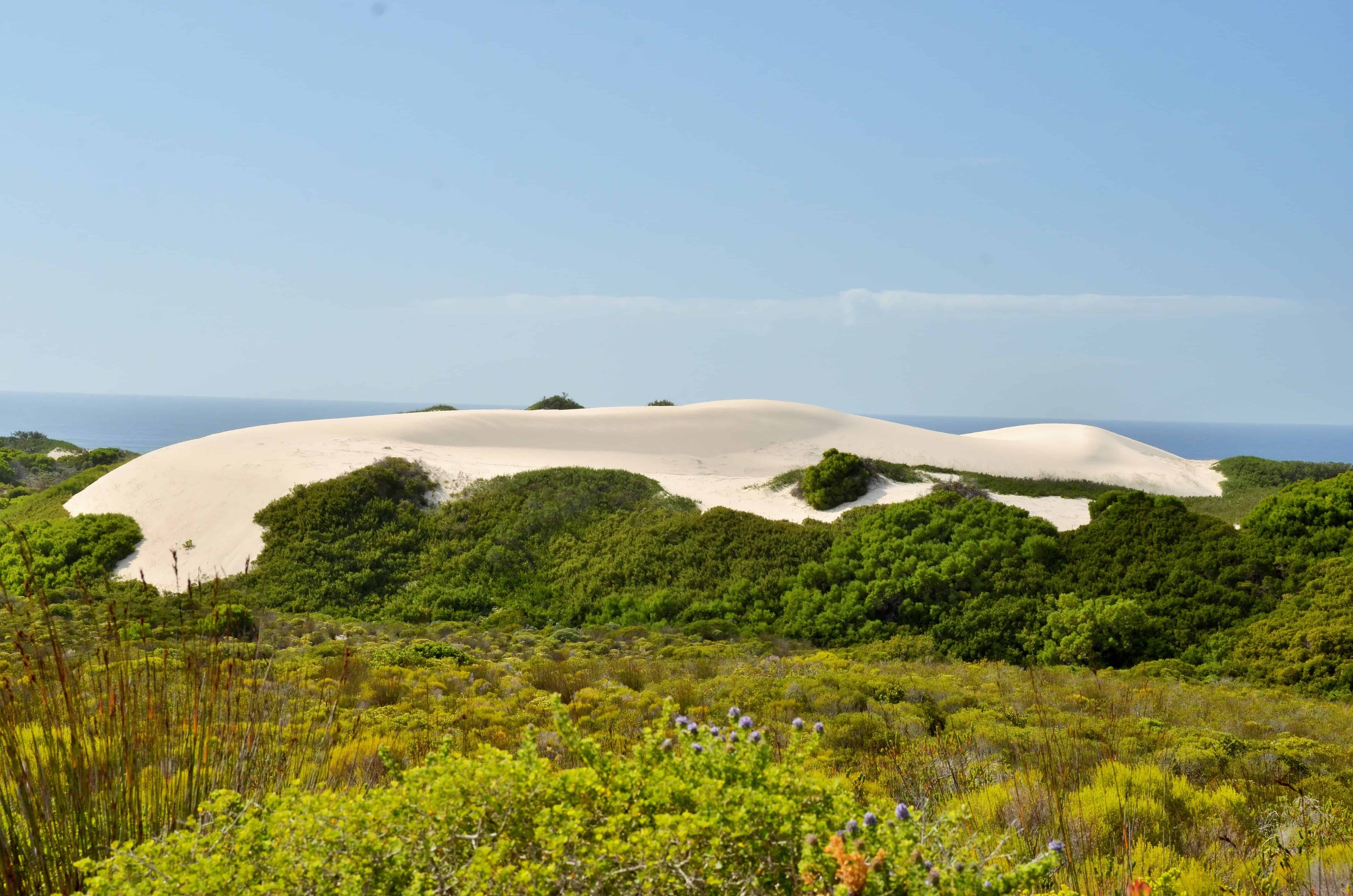 flora, fauna and landscapes