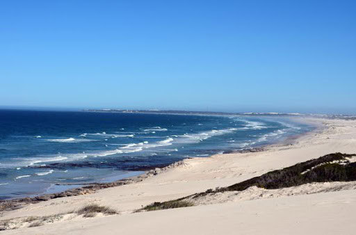 flora, fauna and landscapes