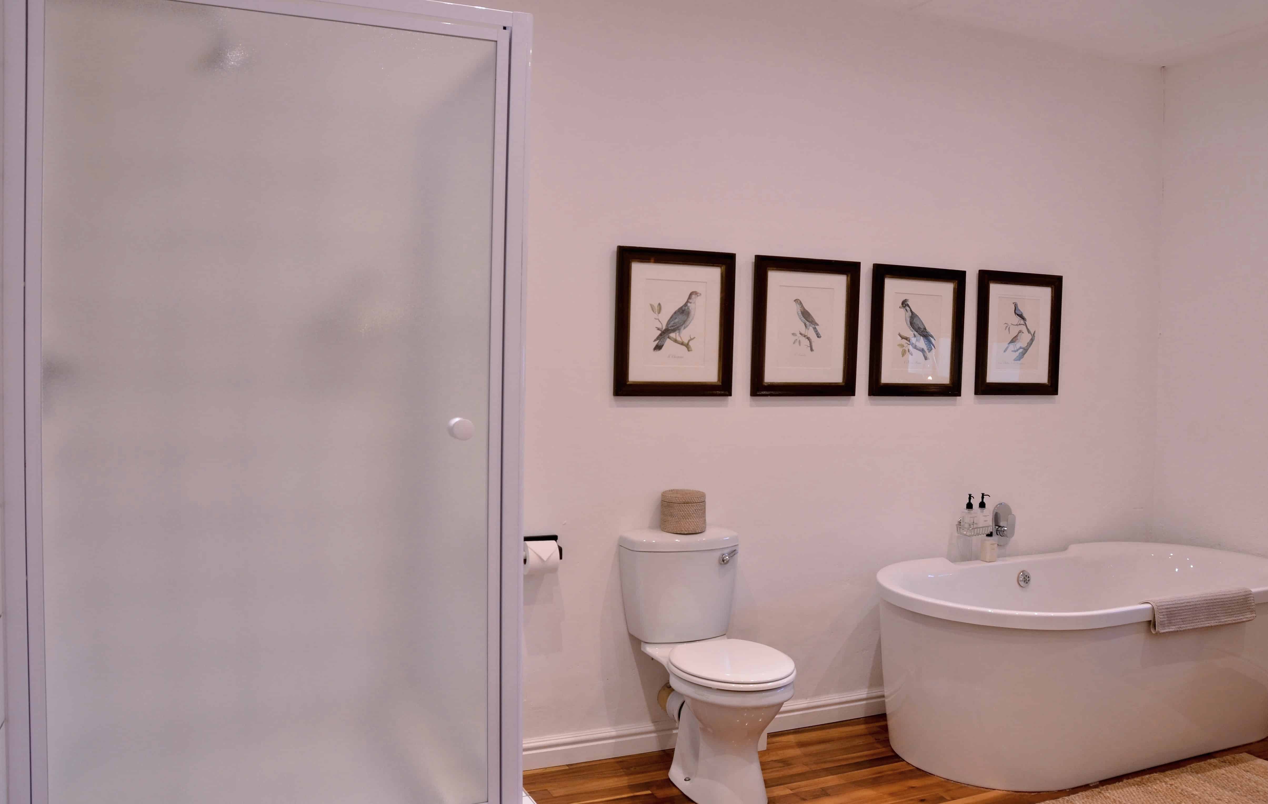 Accommodation-Fig-Tree-Suite-Bathroom