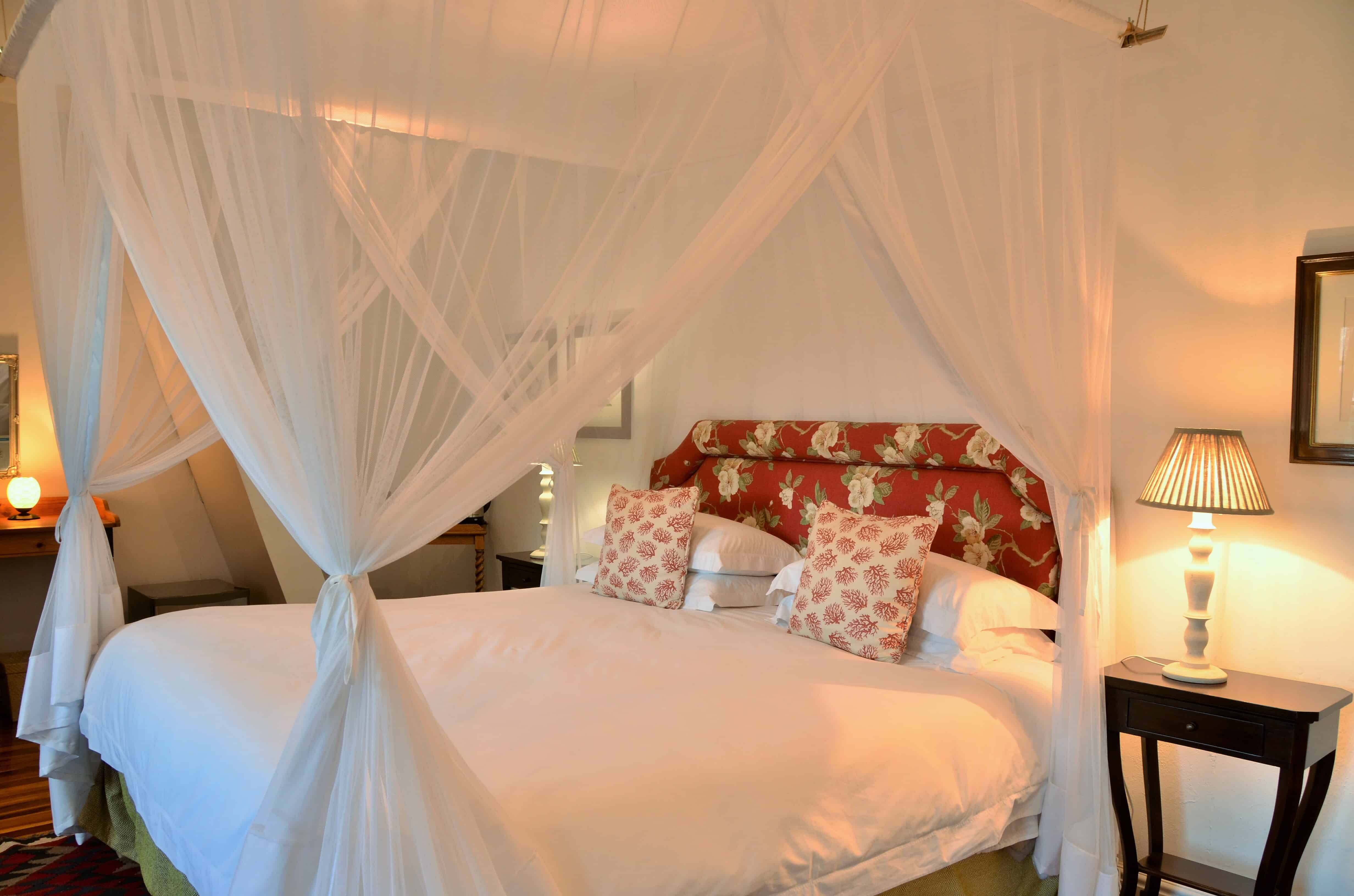 Accommodation-Fig-Tree-Suite-2