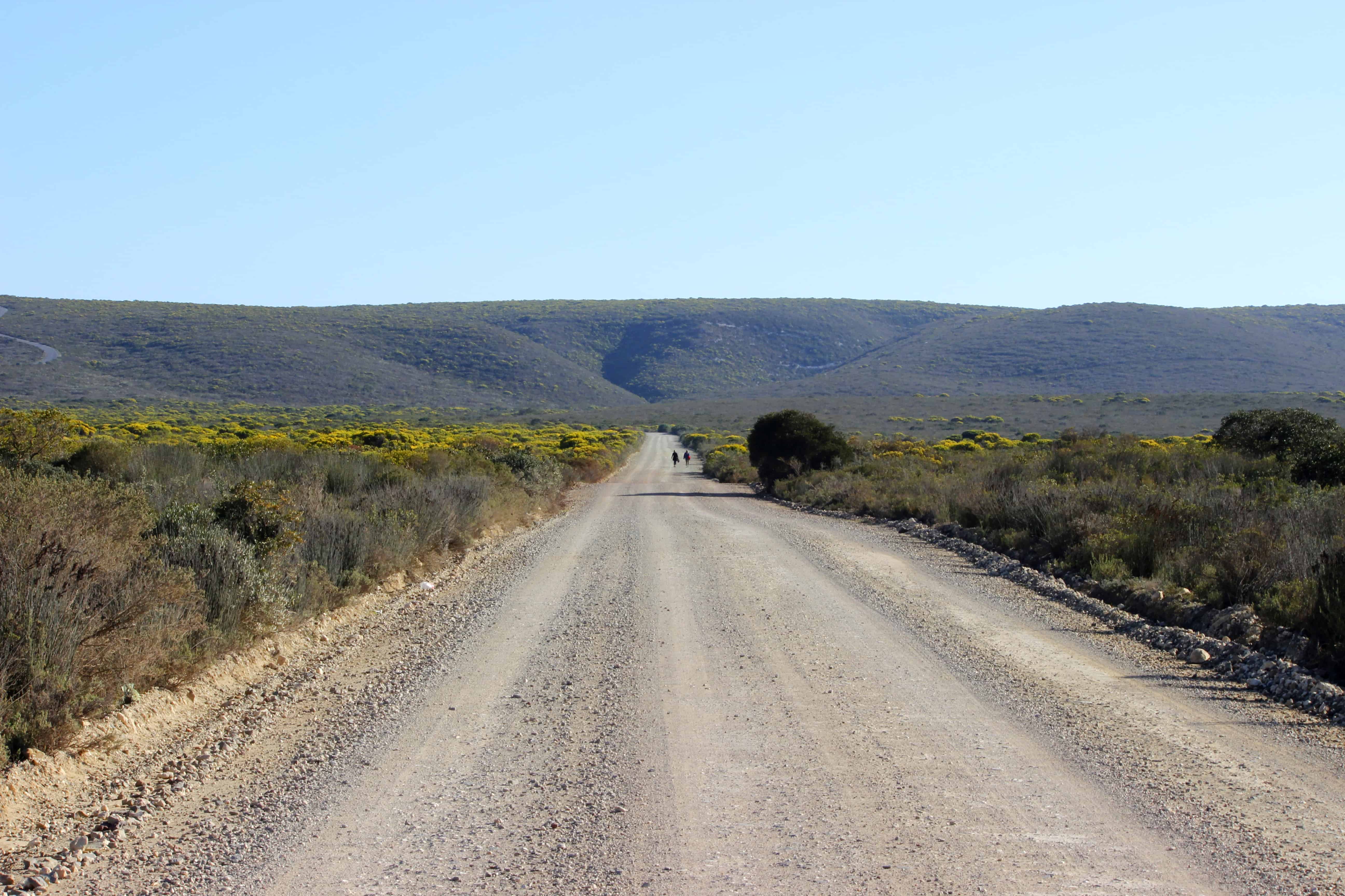 nature drive