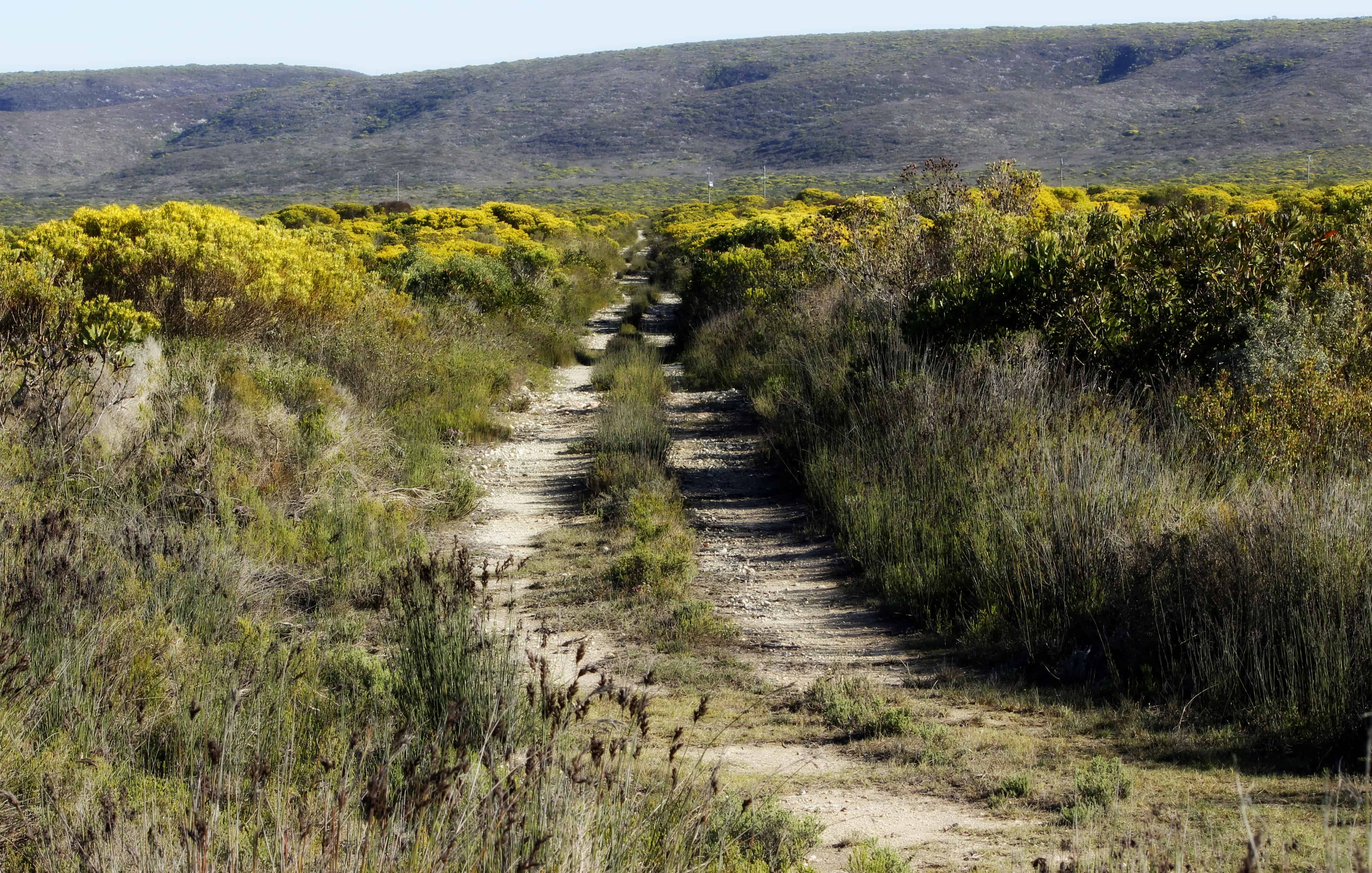 nature drive