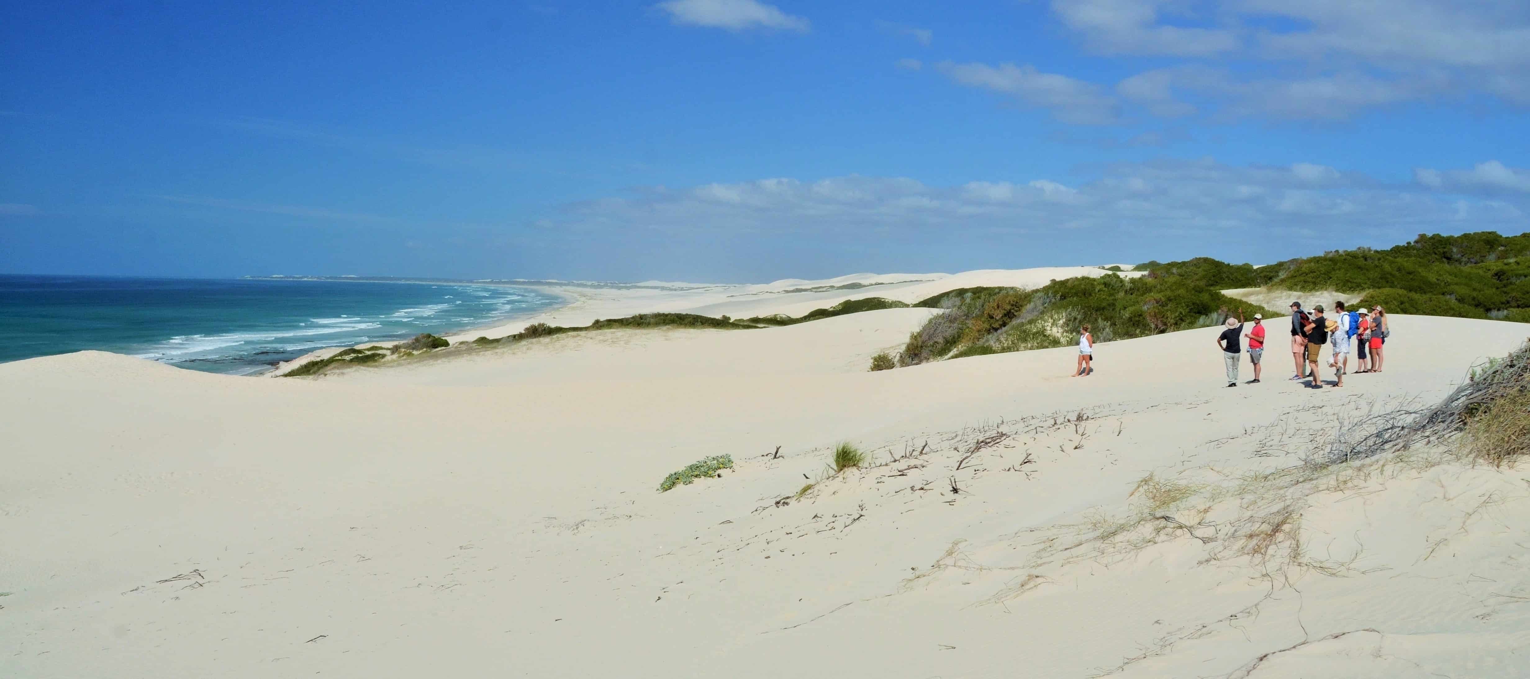 Marine-Walk