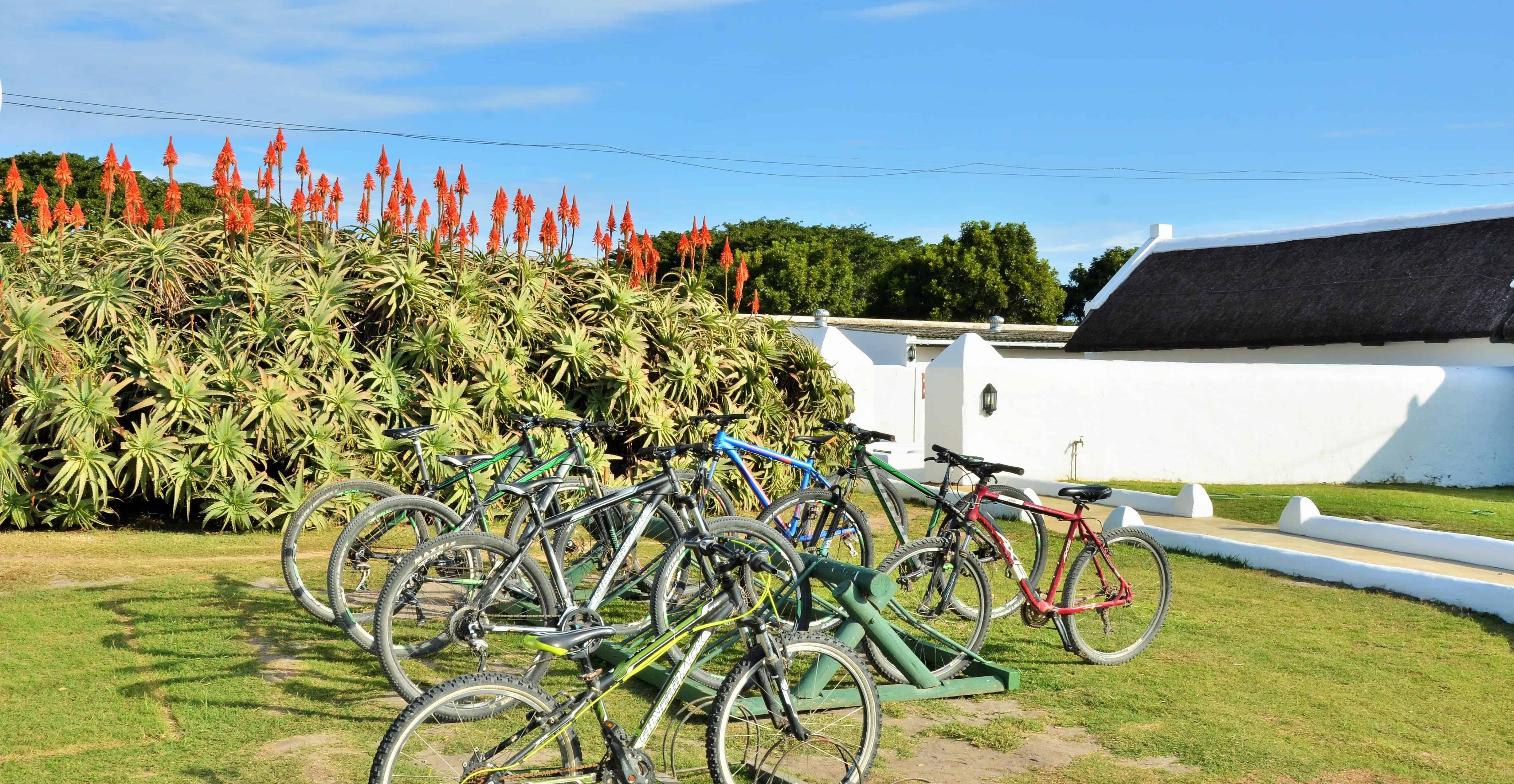 Whale Coast Cycling-De Hoop
