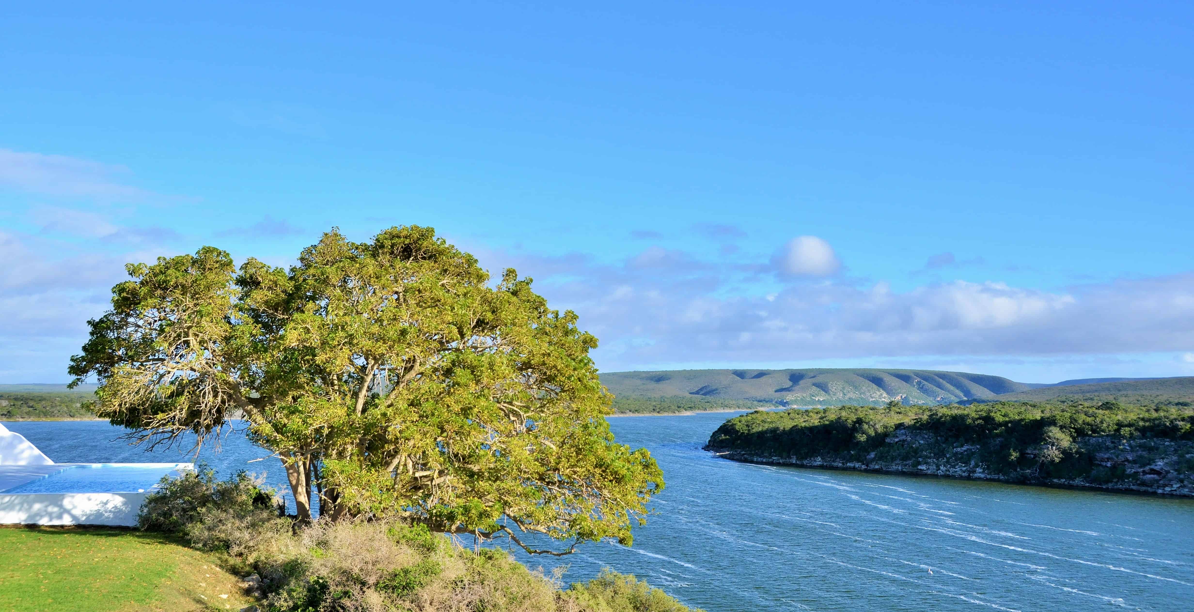 flora, fauna and landscapes