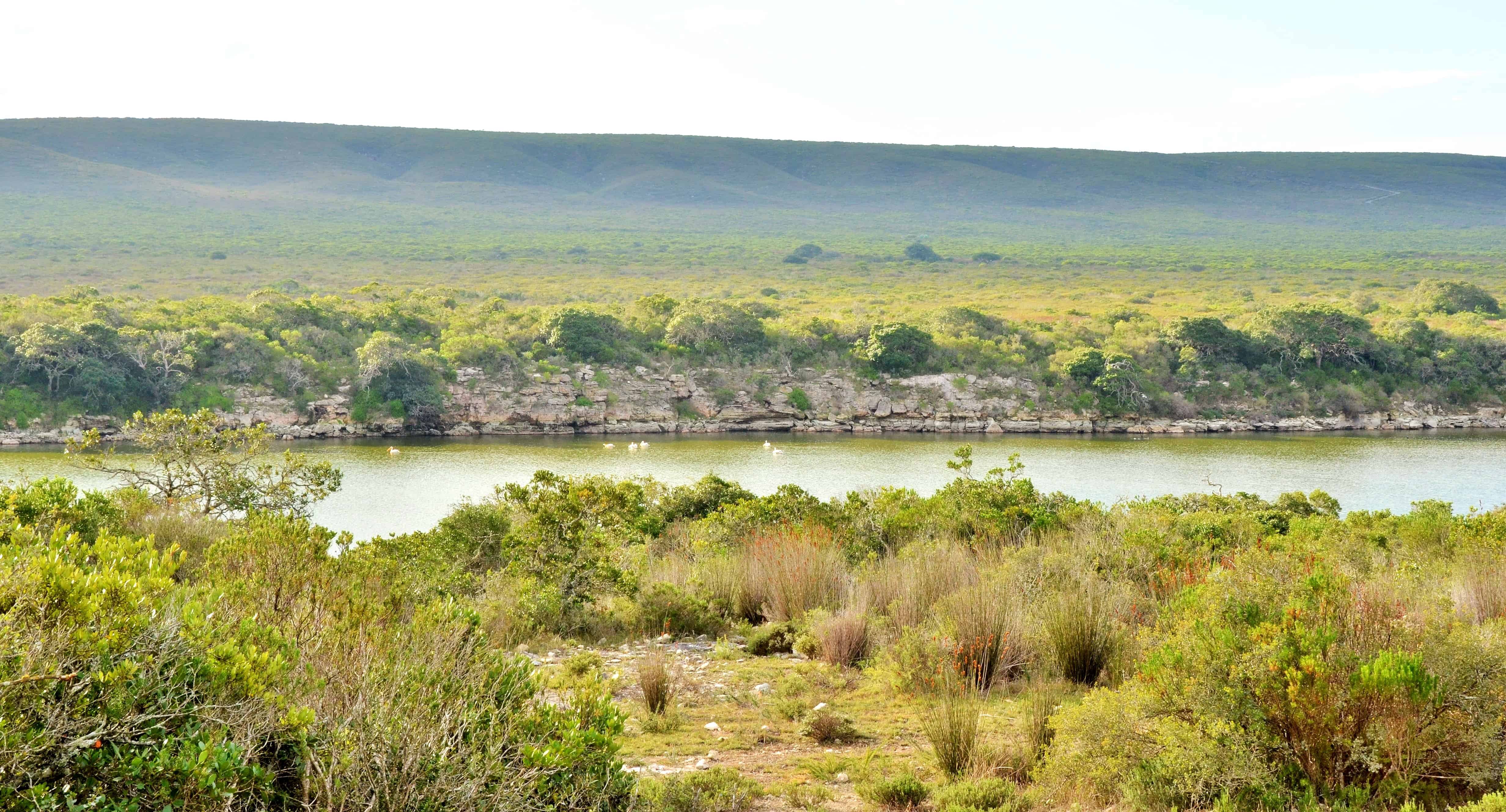flora, fauna and landscapes