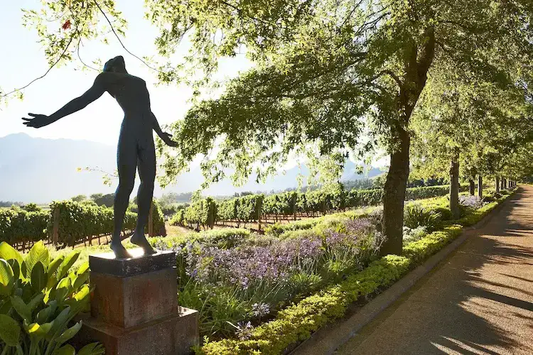 Cape 1000 Cycling 5 Delaire Graff Estate Gardens and Anton Smit Faith Sculpture copy